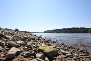 Kieselstrand am Rheinufer