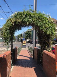 Grün bewachsener Zugang zur Haltestelle