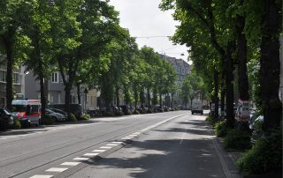 Eine von Bäumen gesäumte Straße mit parkenden Autos am Straßenrand