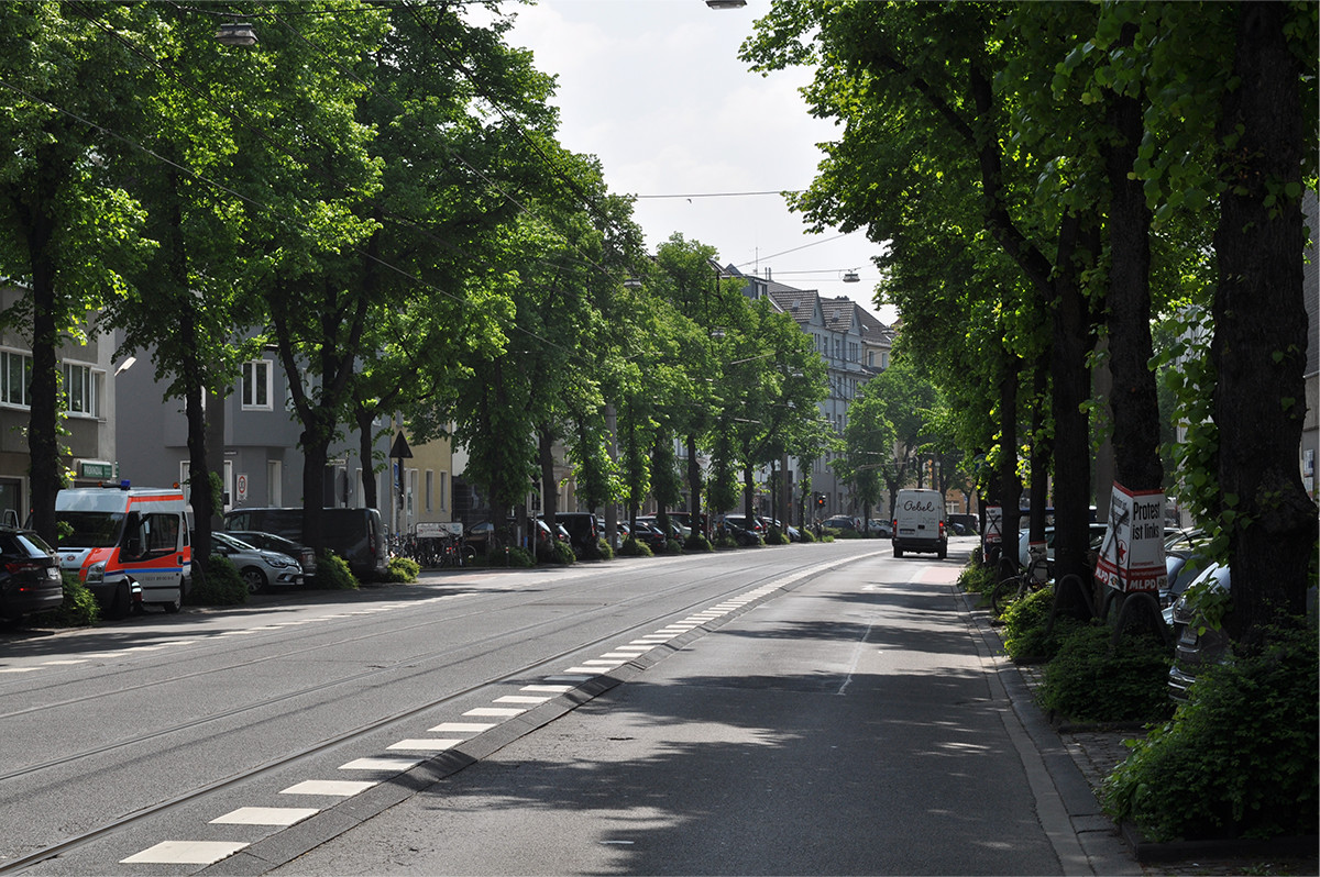 Eine von Bäumen gesäumte Straße mit parkenden Autos am Straßenrand
