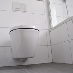 Beispielbild WC und Dusche